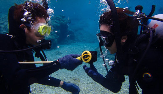 恩納村ワールドダイビング口コミ徹底レビュー